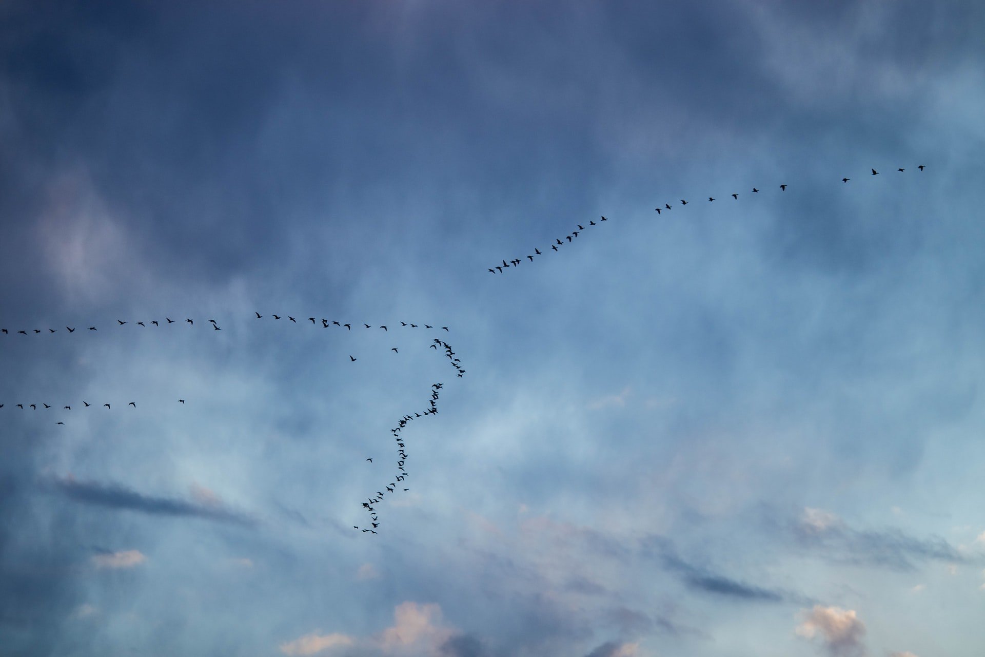 How to use constraints to enable self-organising teams